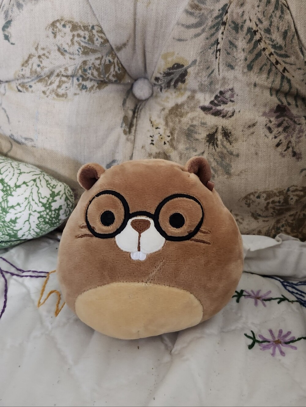 Squishmallows Brown and Cream Plush with Embroidered Glasses